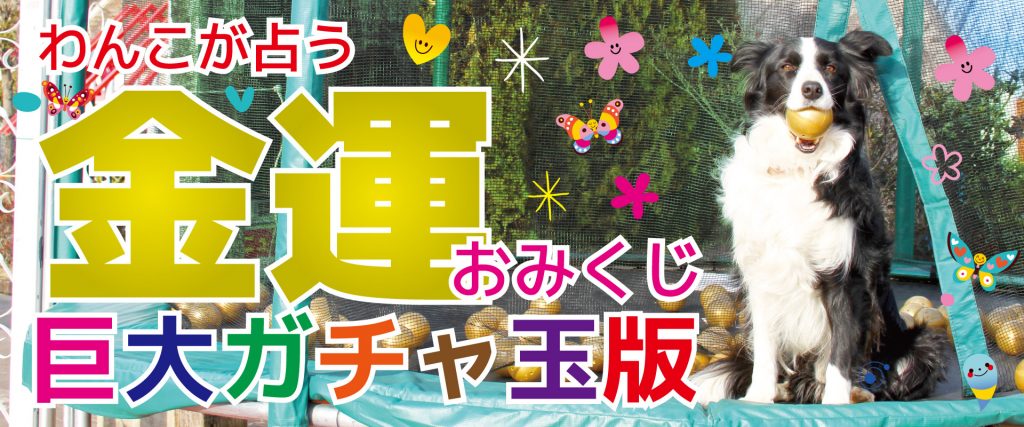 金運おみくじ抽選会 Ipcわんわん動物園web Site