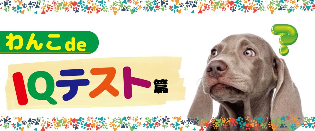 わんこde Iqテスト編 Ipcわんわん動物園web Site